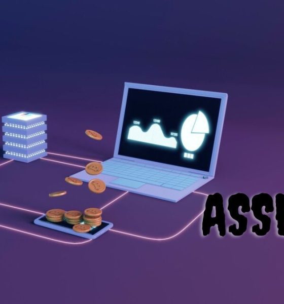 Unveiling the Power of Asseturi: Your Gateway to Digital Wealth