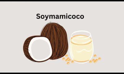 The Magical World of "Soymamicoco": Exploring the Trend That's Taking the Internet by Storm