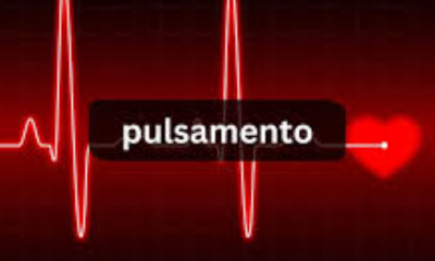 Pulsamento: The Rhythms of Life