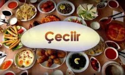 The Intriguing World of çeciir: Exploring Its Origins and Impact