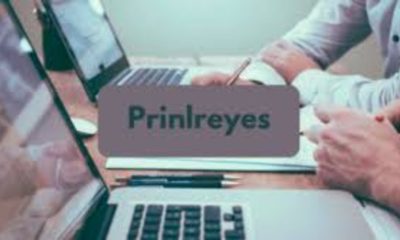 PrinlReyes: Pioneering Innovation in Digital Marketing
