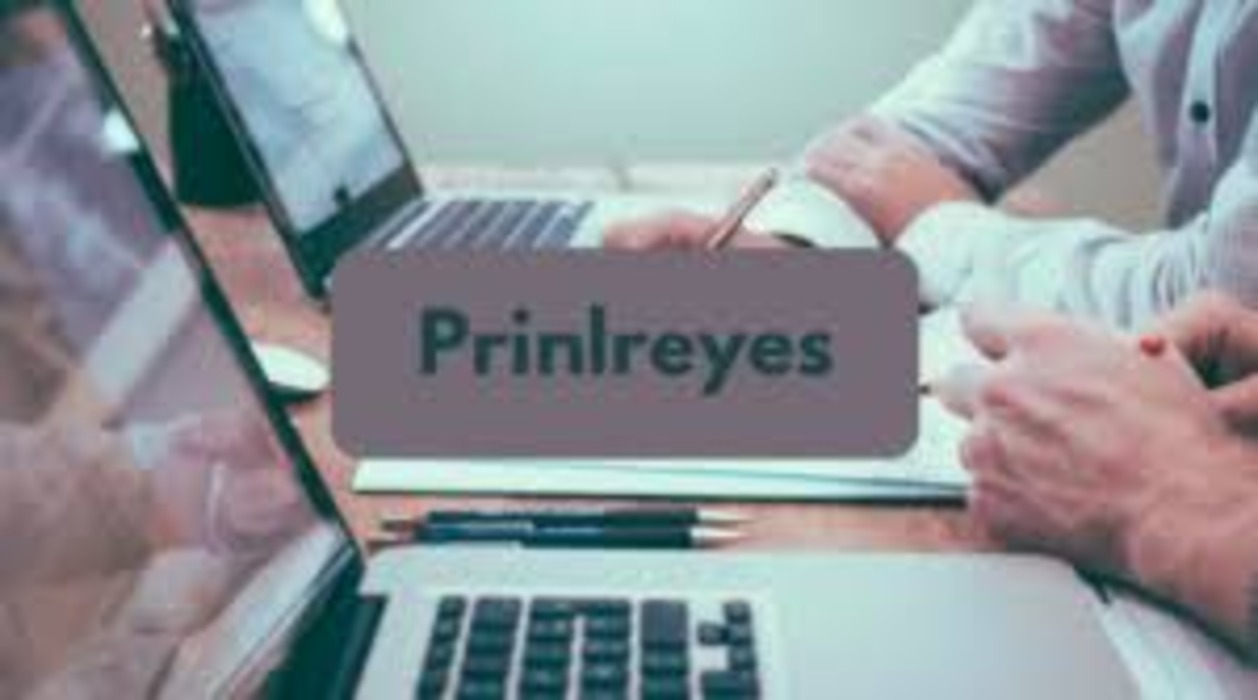 PrinlReyes: Pioneering Innovation in Digital Marketing
