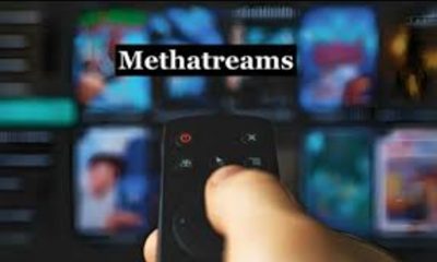 Methatream: Understanding the Rise and Impact of a Digital Phenomenon