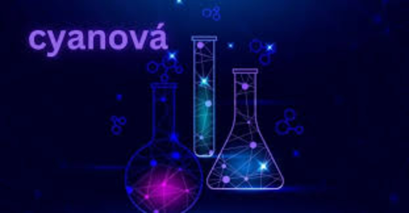 Cyanová: The Fusion of Science, Art, and Innovation