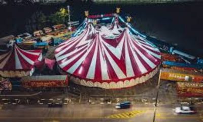 Exploring Niles Garden Circus Tickets: A Fun-Filled Experience for All Ages